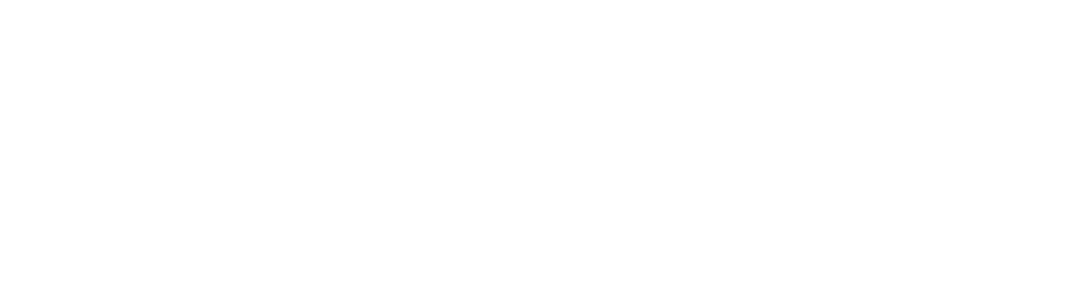 Client 06